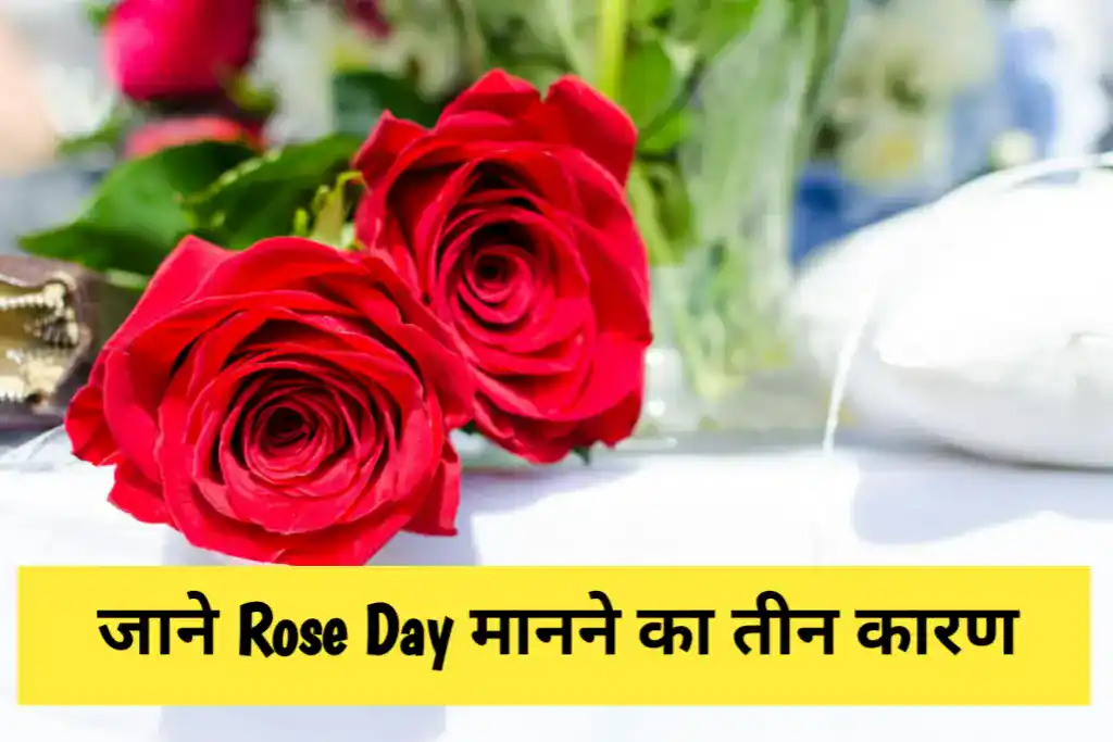 rose Day